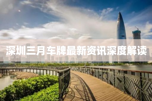 深圳三月車牌最新資訊深度解讀