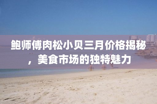 鮑師傅肉松小貝三月價格揭秘，美食市場的獨特魅力