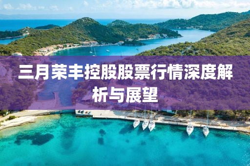 三月榮豐控股股票行情深度解析與展望