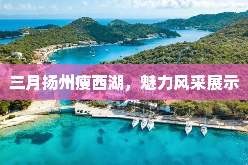三月?lián)P州瘦西湖，魅力風(fēng)采展示