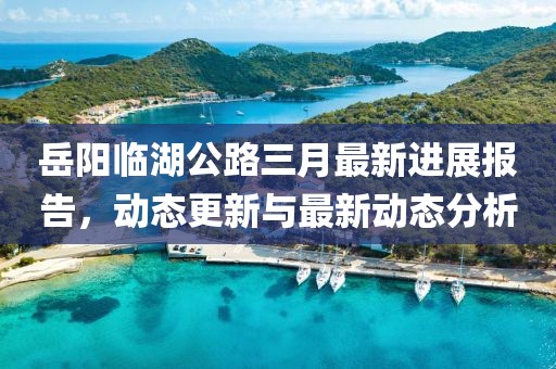 岳陽(yáng)臨湖公路三月最新進(jìn)展報(bào)告，動(dòng)態(tài)更新與最新動(dòng)態(tài)分析