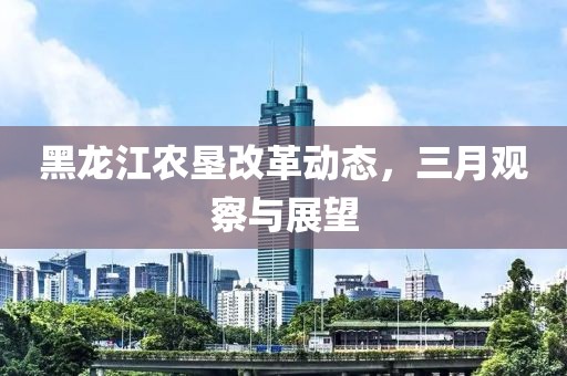 黑龍江農(nóng)墾改革動態(tài)，三月觀察與展望