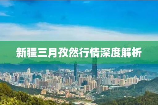 新疆三月孜然行情深度解析