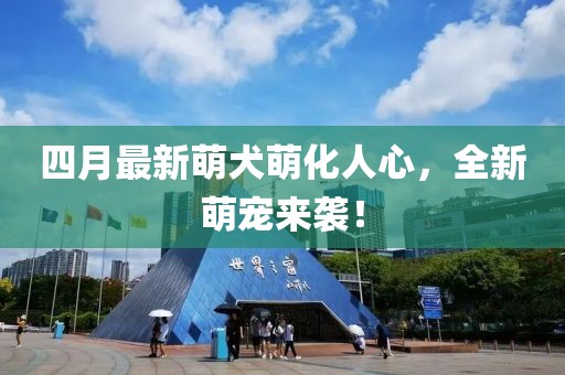 四月最新萌犬萌化人心，全新萌寵來(lái)襲！