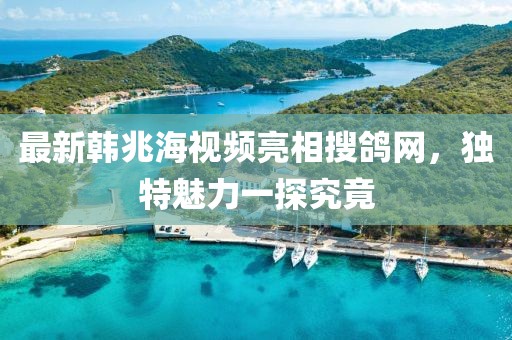 最新韓兆海視頻亮相搜鴿網(wǎng)，獨(dú)特魅力一探究竟