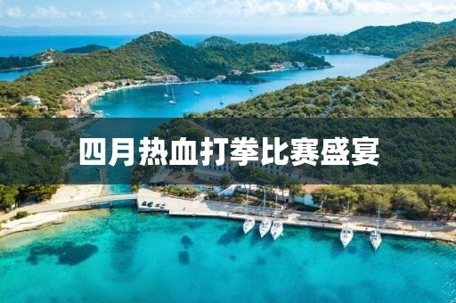 四月熱血打拳比賽盛宴