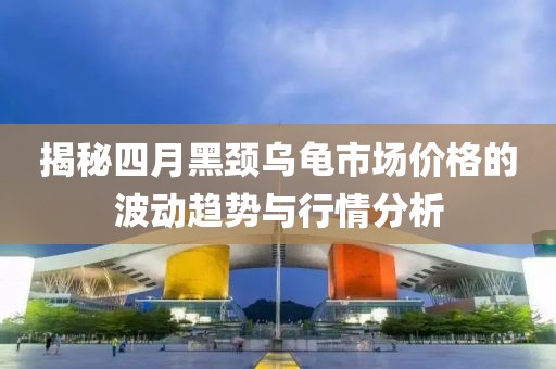 揭秘四月黑頸烏龜市場(chǎng)價(jià)格的波動(dòng)趨勢(shì)與行情分析