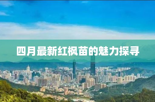 四月最新紅楓苗的魅力探尋