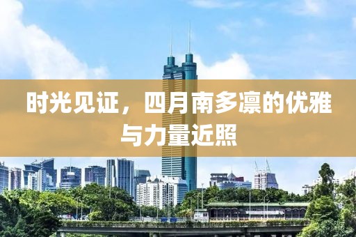 時光見證，四月南多凜的優(yōu)雅與力量近照