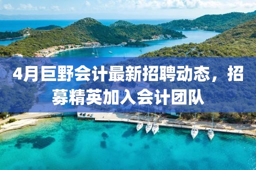 4月巨野會(huì)計(jì)最新招聘動(dòng)態(tài)，招募精英加入會(huì)計(jì)團(tuán)隊(duì)