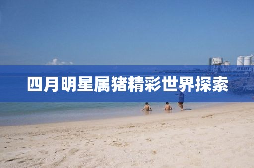 四月明星屬豬精彩世界探索