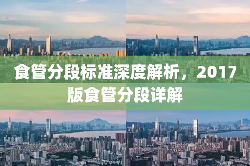 食管分段標準深度解析，2017版食管分段詳解