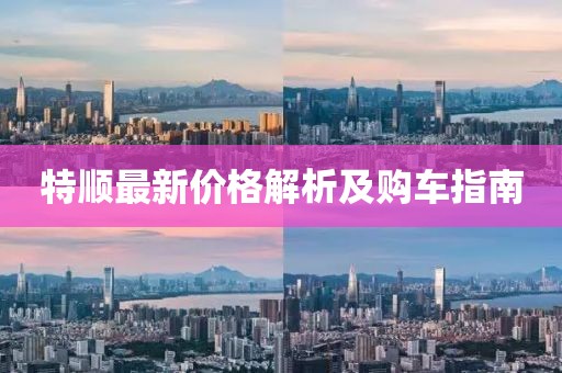 特順最新價格解析及購車指南