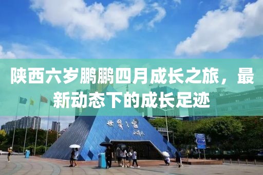 陜西六歲鵬鵬四月成長之旅，最新動態(tài)下的成長足跡
