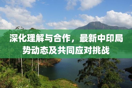 深化理解與合作，最新中印局勢動態(tài)及共同應(yīng)對挑戰(zhàn)