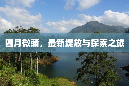 四月微蒲，最新綻放與探索之旅