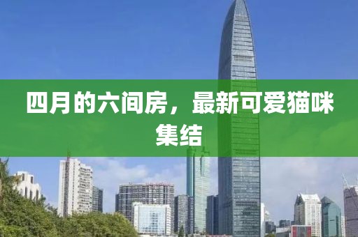 四月的六間房，最新可愛貓咪集結(jié)