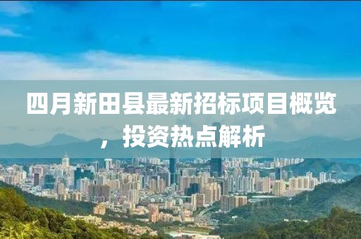 四月新田縣最新招標項目概覽，投資熱點解析