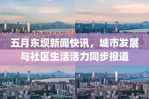 五月東壩新聞快訊，城市發(fā)展與社區(qū)生活活力同步報(bào)道