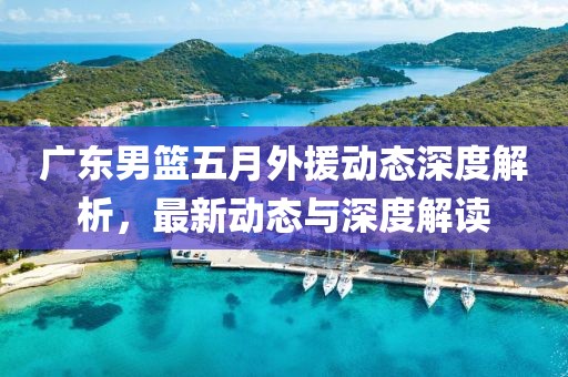廣東男籃五月外援動態(tài)深度解析，最新動態(tài)與深度解讀