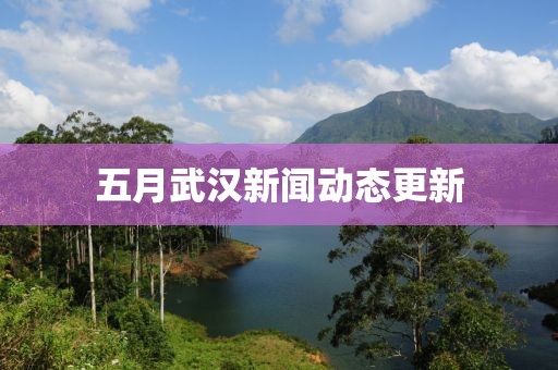 五月武漢新聞動態(tài)更新