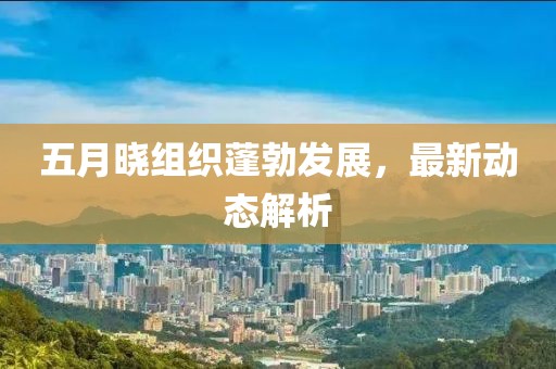 五月曉組織蓬勃發(fā)展，最新動態(tài)解析