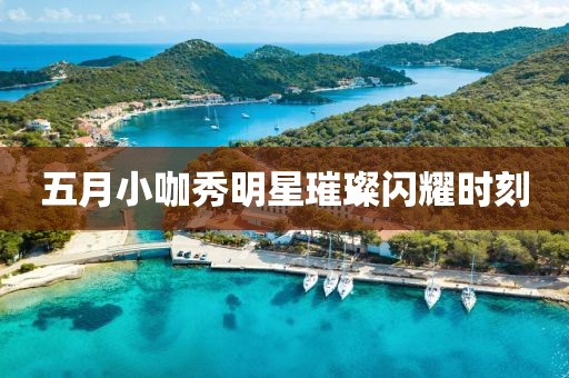 五月小咖秀明星璀璨閃耀時(shí)刻