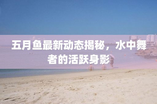 五月魚最新動態(tài)揭秘，水中舞者的活躍身影