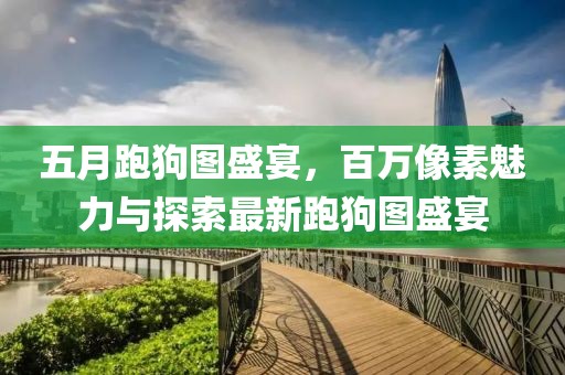 五月跑狗圖盛宴，百萬像素魅力與探索最新跑狗圖盛宴