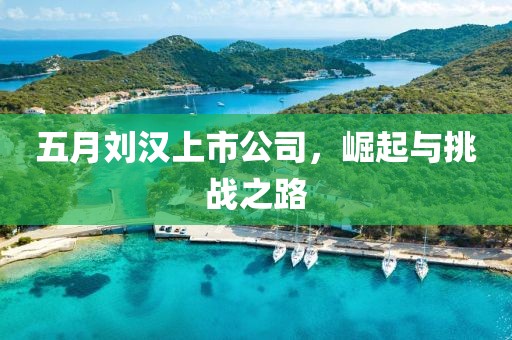 五月劉漢上市公司，崛起與挑戰(zhàn)之路