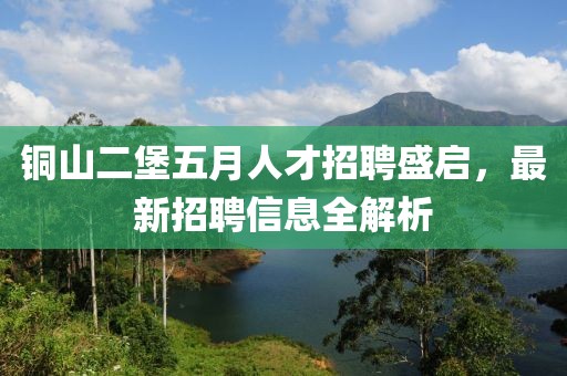 銅山二堡五月人才招聘盛啟，最新招聘信息全解析