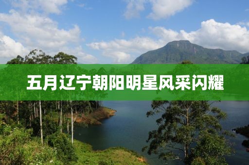 五月遼寧朝陽明星風(fēng)采閃耀
