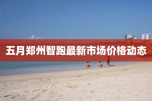 五月鄭州智跑最新市場價格動態(tài)