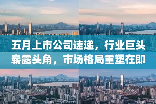五月上市公司速遞，行業(yè)巨頭嶄露頭角，市場格局重塑在即