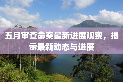 五月審查命案最新進(jìn)展觀察，揭示最新動(dòng)態(tài)與進(jìn)展