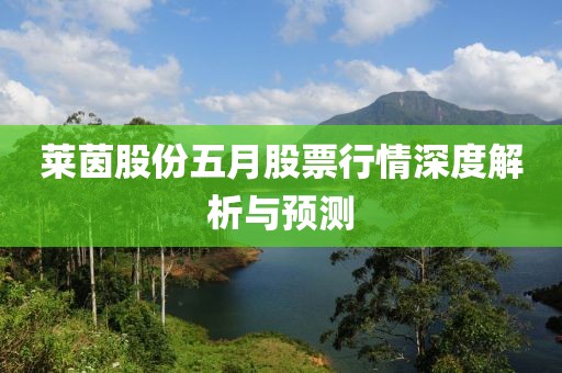 萊茵股份五月股票行情深度解析與預(yù)測