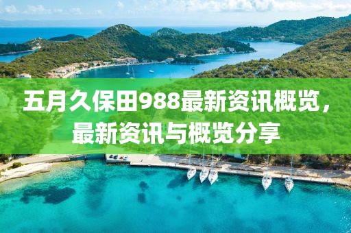 五月久保田988最新資訊概覽，最新資訊與概覽分享