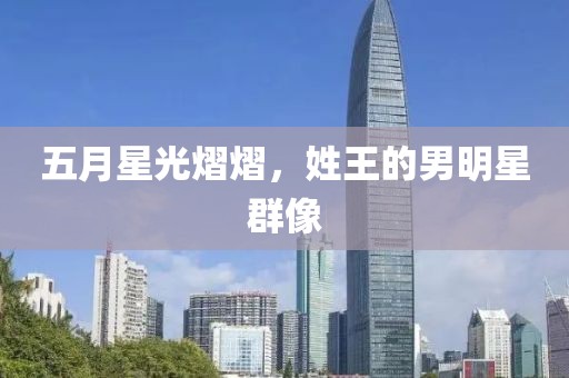 五月星光熠熠，姓王的男明星群像