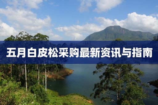 五月白皮松采購(gòu)最新資訊與指南