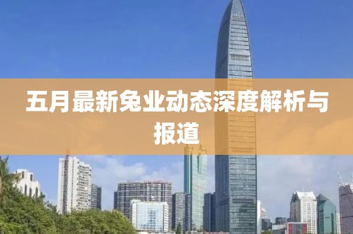 五月最新兔業(yè)動態(tài)深度解析與報道