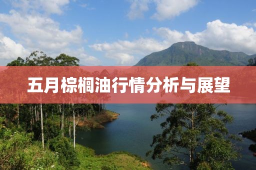 五月棕櫚油行情分析與展望