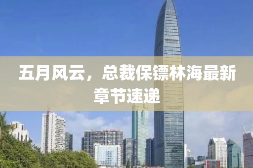 五月風(fēng)云，總裁保鏢林海最新章節(jié)速遞