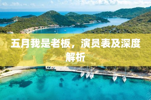 五月我是老板，演員表及深度解析