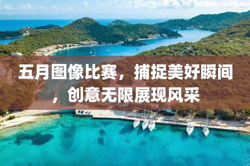 五月圖像比賽，捕捉美好瞬間，創(chuàng)意無(wú)限展現(xiàn)風(fēng)采