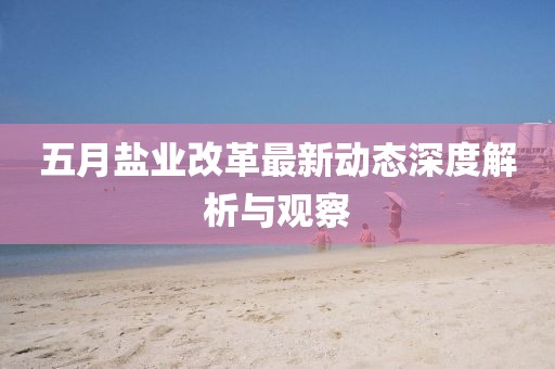 五月鹽業(yè)改革最新動(dòng)態(tài)深度解析與觀察