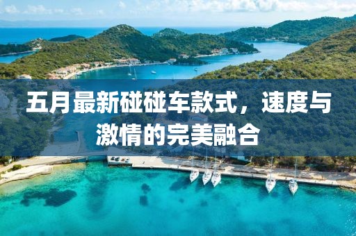五月最新碰碰車款式，速度與激情的完美融合