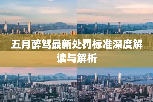 五月醉駕最新處罰標(biāo)準(zhǔn)深度解讀與解析