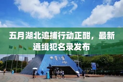 五月湖北追捕行動正酣，最新通緝犯名錄發(fā)布