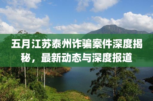 五月江蘇泰州詐騙案件深度揭秘，最新動態(tài)與深度報道