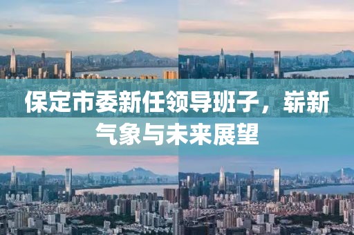 保定市委新任領(lǐng)導(dǎo)班子，嶄新氣象與未來展望